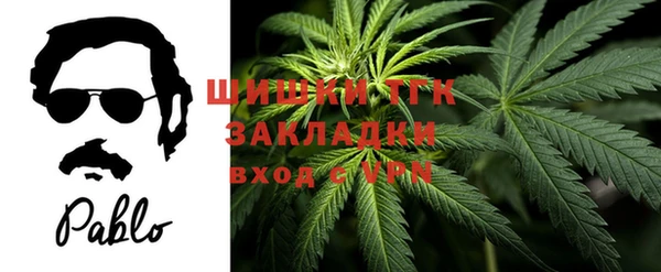 COCAINE Богородицк