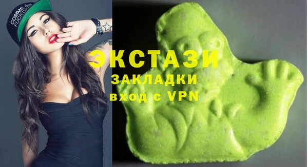 apvp Инсар