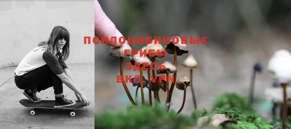 таблы Богородск