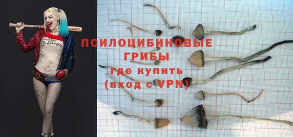 таблы Богородск