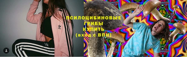 таблы Богородск
